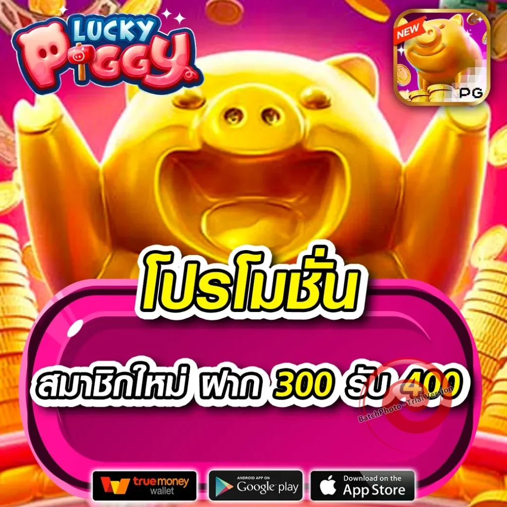 ทางเข้า cosmo-365